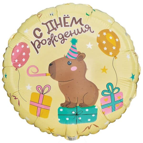 Круг ВЗ «ДР Капибара»