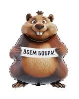 vz-bobra-vam-bober-image-1