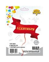vz-1-sentyabrya-lenta-krasnaya-image-1