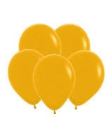 vozdushnyy-shar-s-gorchichnyy-pastel-5-image-0